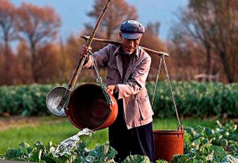 ‘Modernising China's agriculture is the key to improve economy’