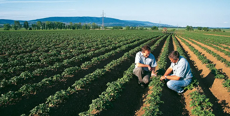 Image_shows_Bayer_and_Ecospray_founders_in_a_field_after_signing_distribution_agreement_to_market_new_crop_protection_product