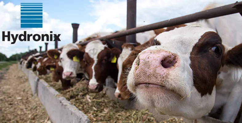 Image_shows_how_cows_can_benefit_from_higher_quality_and_more_valuable_feed_with_Moisture_Control