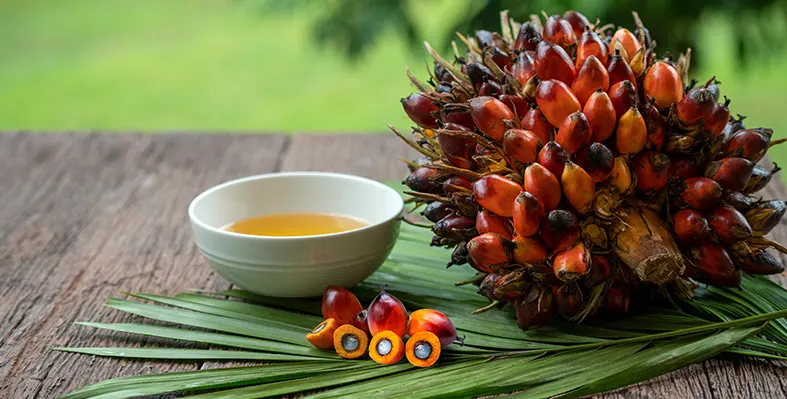 palm oil 