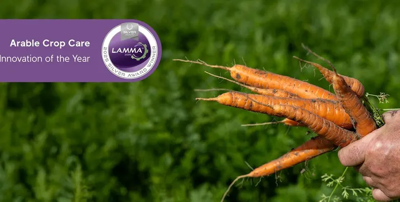 carrots in hand 