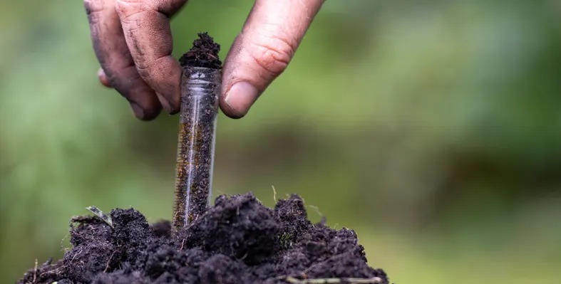 Image_of_regenerativeagriculture