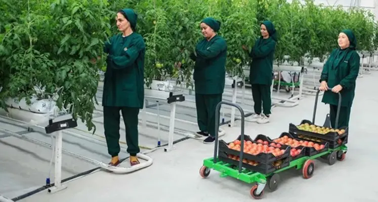 New_high-tech_greenhouse_Turkmen_portal