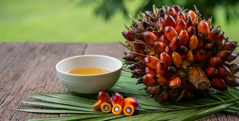 Image_of_palm_oil