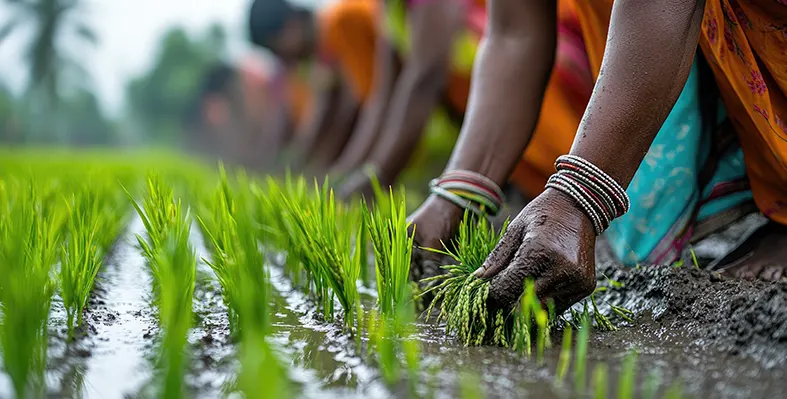 Image_of_agriclture_lady