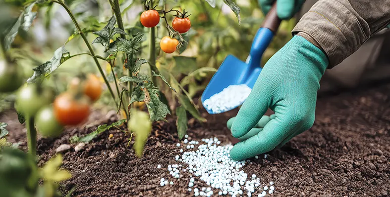 Image_of_phosphate_fertilizers