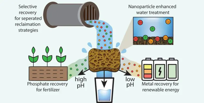 Illustration showing how the sponge nanocomposite material recovers phosphate and metals from water. (Image source: Kelly Matuszewski, Northwestern University) image_shows_how_specialised_sponge_can_recycle_stormwater_for_reuse_in_agriculture