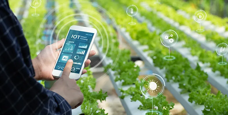 Image_of_smartfarming