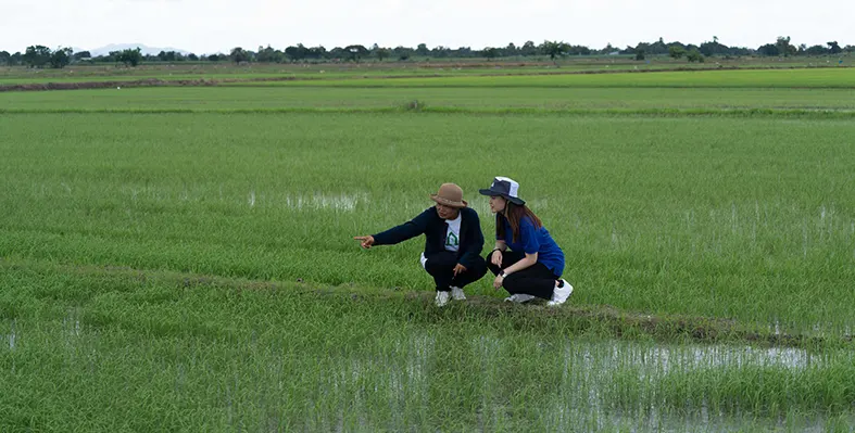 DFI_Retail_Group_launches_Low-Carbon_Rice_Pilot_Programme_in_Thailand