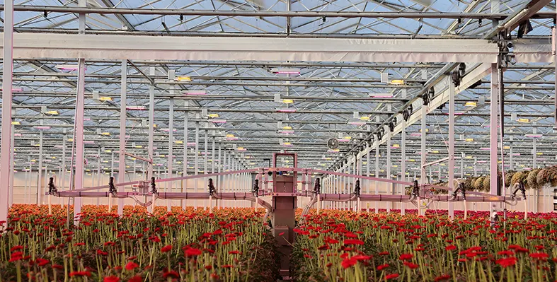 Entomatic is highly versatile and can be used in horizontal and vertical row crops. (Image source: Biobest) image_shows_the_entomatic_automated_dispenser_designed_to_control_spider_mites