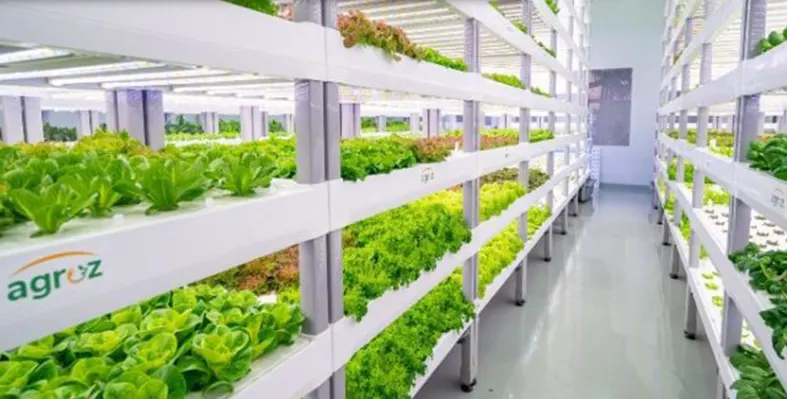 Image_of_agroz_vertical_farm