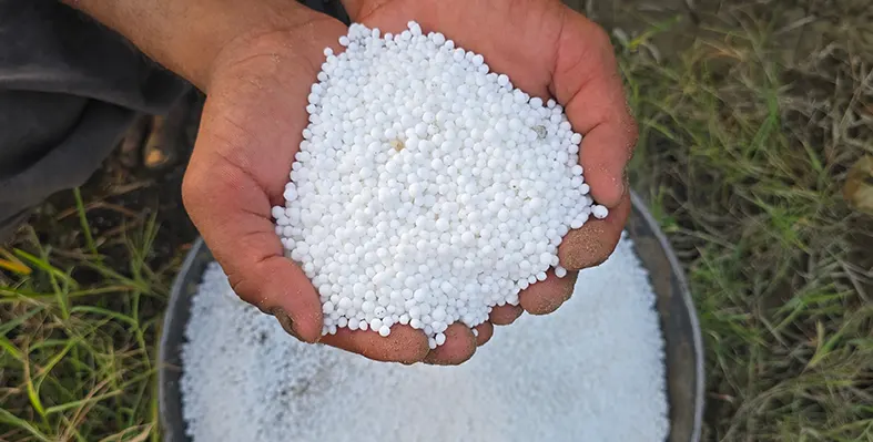 Image_of_pptfertilizer
