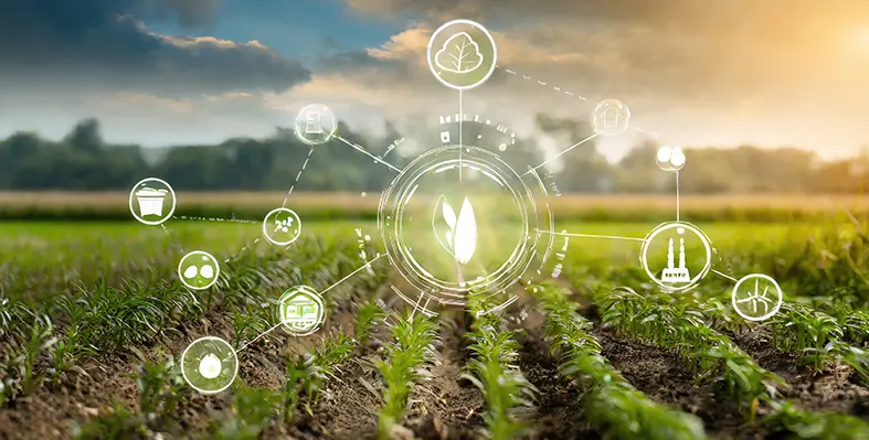 Image_of_reg_agriculture