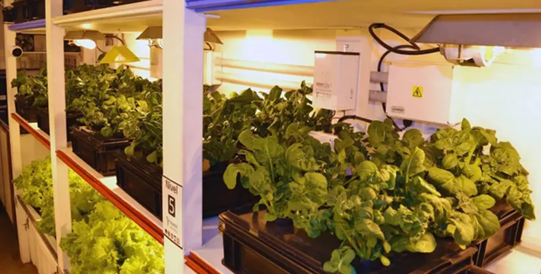 hydroponic_system