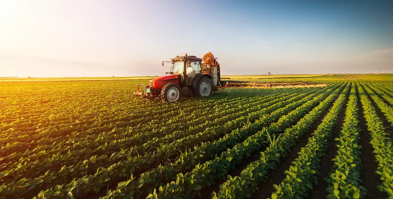 Tractor spraying soybean field at spring 