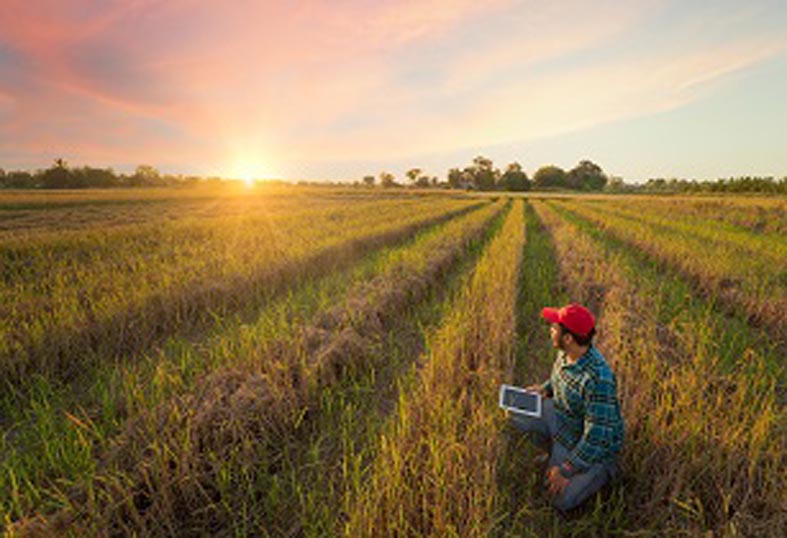 BASF Launches Seltima Fungicide in Indonesia - AgriBusiness Global