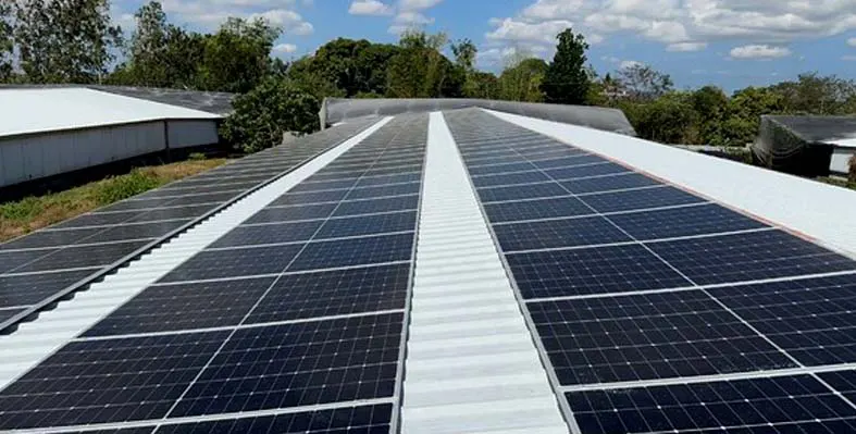 Solar panels in farm 