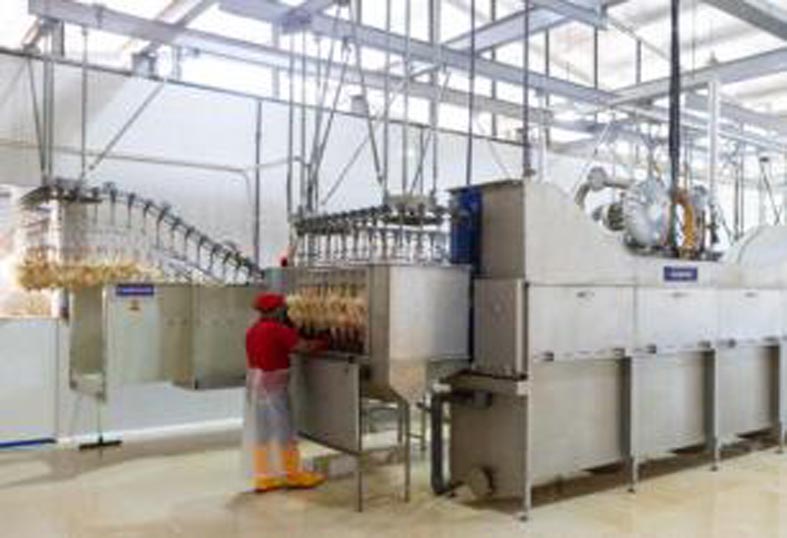 Marel  Food processing solutions