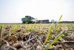 Cargill-Soil-Vinton