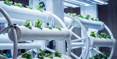 smart agriculture solutions 