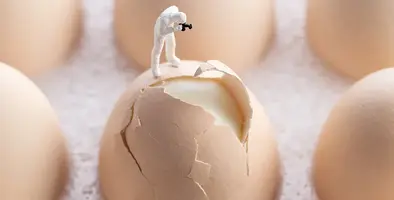 Image_of_poultrykeeping