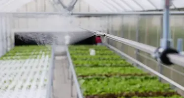  GreenTec_fogging
