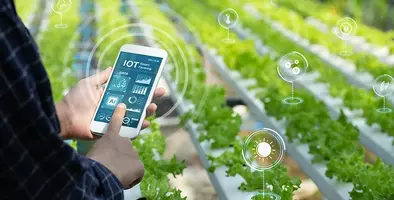 Image_of_smartfarming