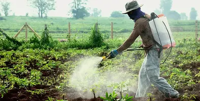 fertilizer_industry