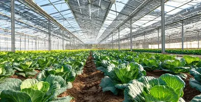 Image_of_greenhousetech