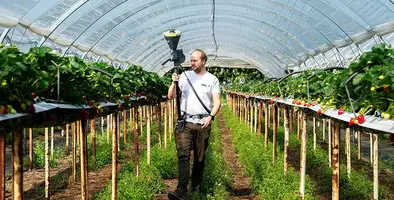 image_of_Entomatic