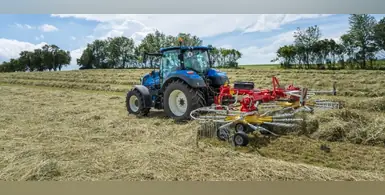 Image_of_Pottinger