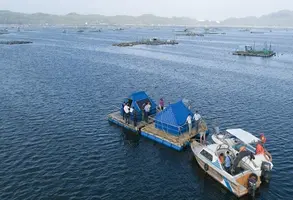 Water monitoring system 