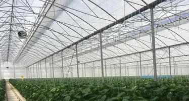 BIORETE AIR PLUS
