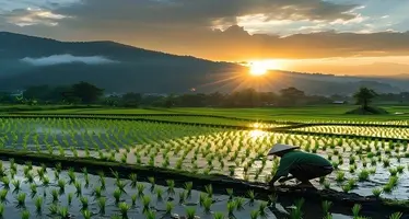 Farmer standing in a field.