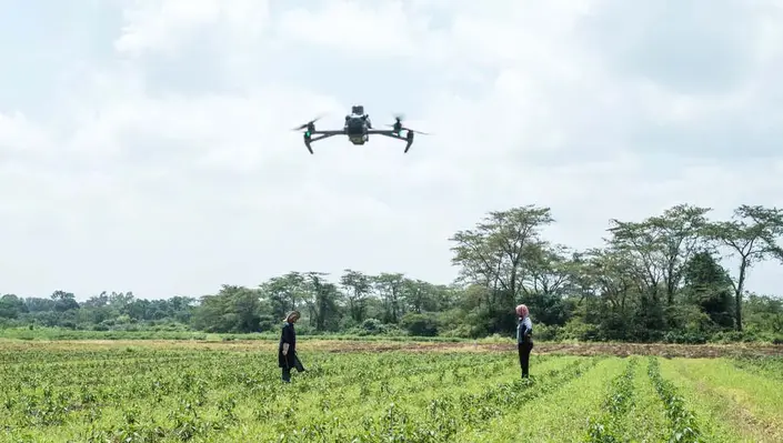 drone