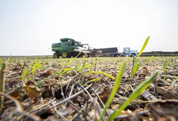 Cargill-Soil-Vinton