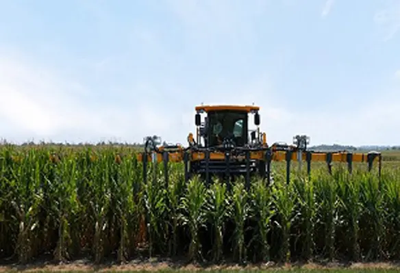 The advancement of Bayer’s short-stature corn is in the centre of the new collaboration of Bayer and Pairwise. (Image source: Bayer)
