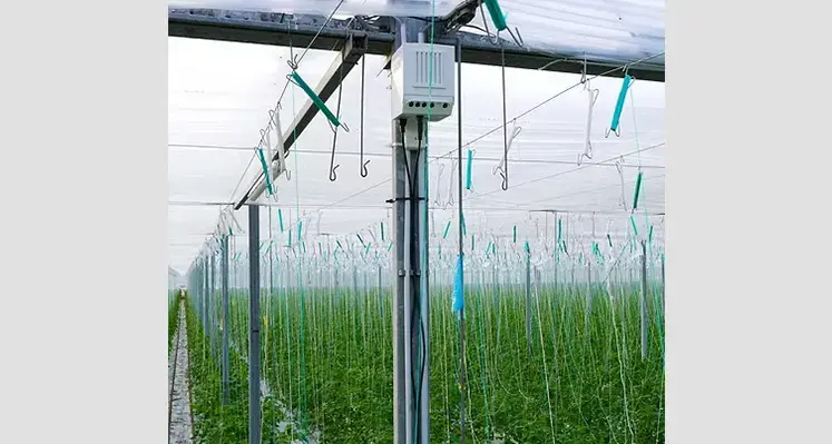 PATS-X bat-like_drone