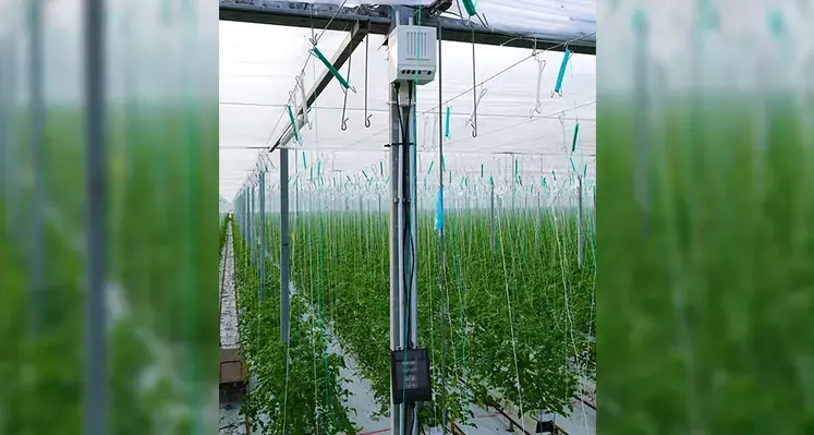 PATS-X bat-like_drone