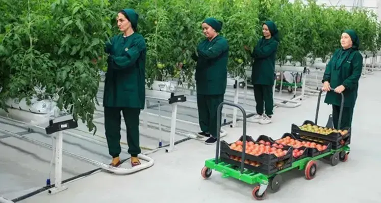 New_high-tech_greenhouse_Turkmen_portal