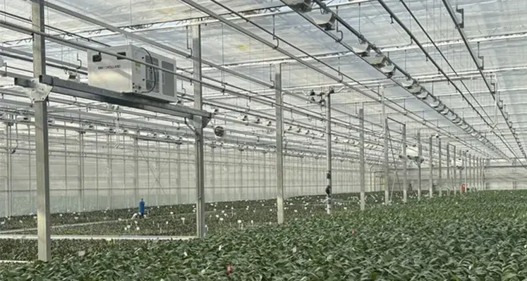  Propane_Dehumidifiers