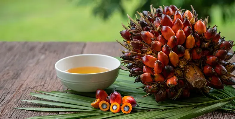 Image_of_palm_oil