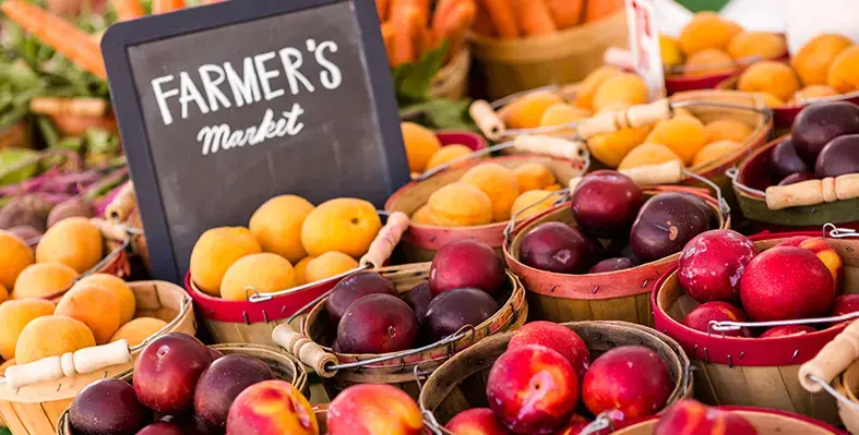 Crop_insurance_reinforcement