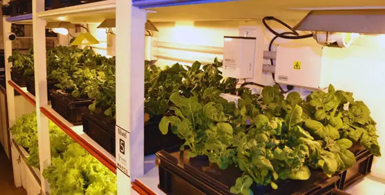 hydroponic_system