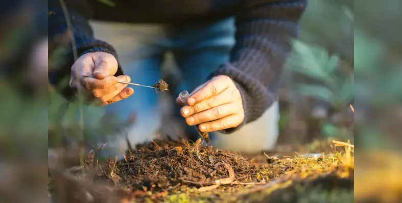 regenerative_agriculture