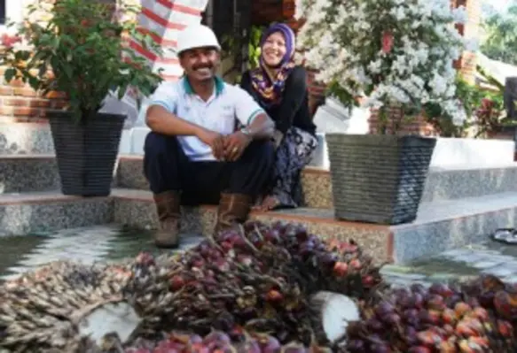 The companies are working to ensure traceability as far as oil palm plantation is concerned. (Image source: Kao Corporation)