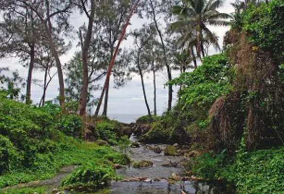 A stream on Efate Vanuatu