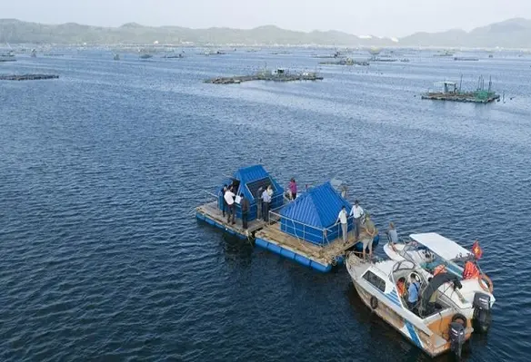 Water monitoring system 