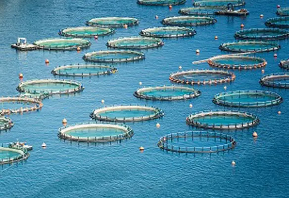 Researchers will analyse how the industry is driving land cover and land use change in aquaculture hotspots. (Image source: Adobe Stock)