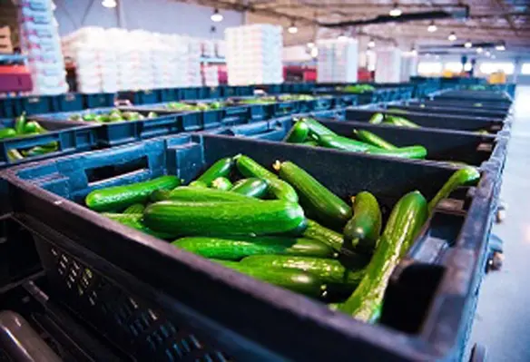 Many Vietnamese agricultural products have been permitted to enter several countries including China, the US, Japan, and New Zealand. (Image source: Adobe Stock)